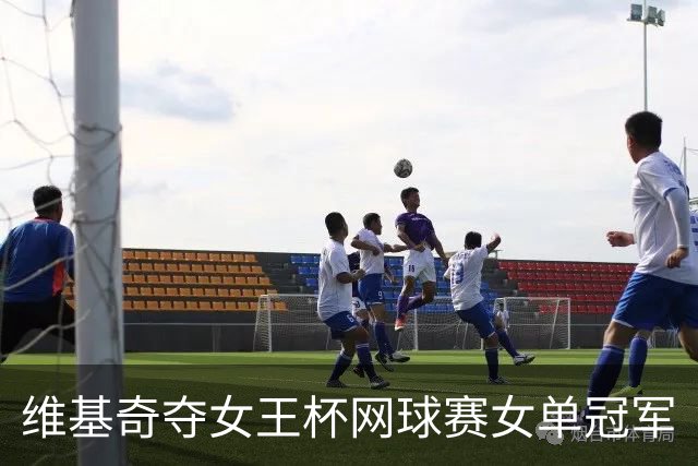 维基奇夺女王杯网球赛女单冠军